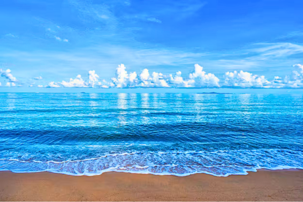 Explore the SeaÂ