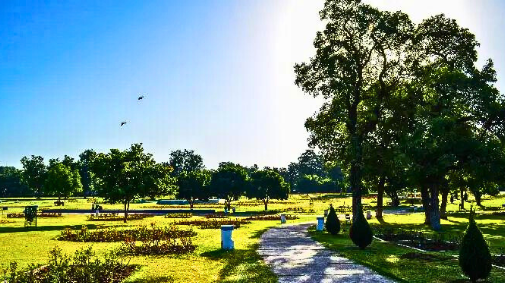 Green Oasis of Chandigarh