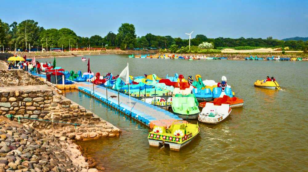 Activities to do at Sukhna Lake in Chandigarh