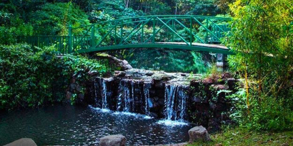 Coorg: The Scotland of India