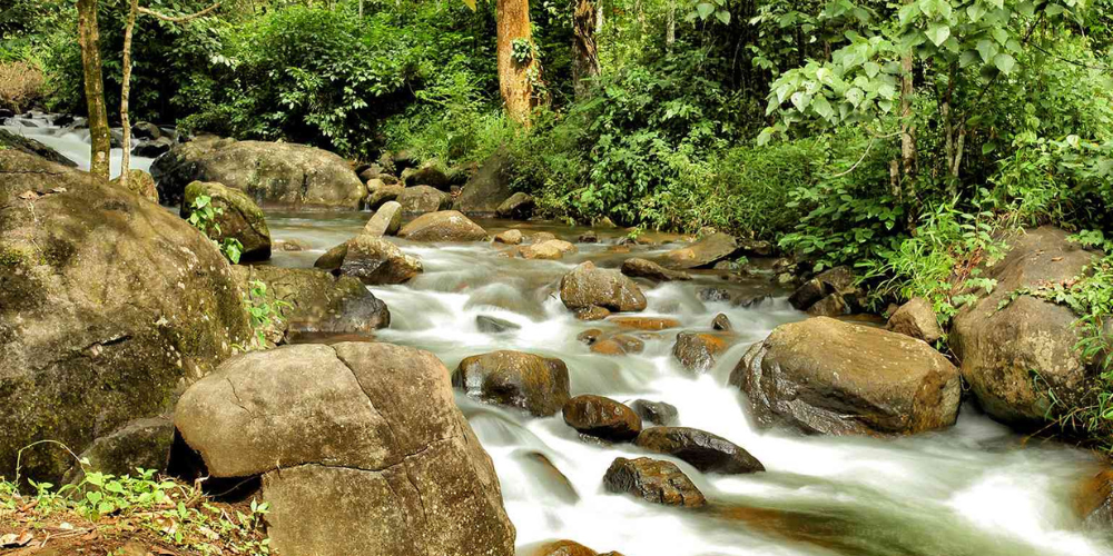 Wayanad, Kerala - Nature's Abode